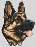 (image for) German Shepherd